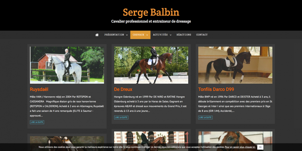 chevaux-page-1-serge-balbin-cavalier-professionnel-et-entraineu_-www-sergebalbin-dressage-com