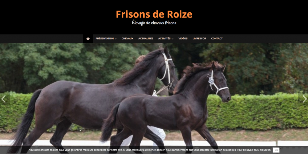 frisons-de-roize-elevage-de-chevaux-frisons-www-frisons-roize-com