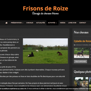 pension-au-pre-frisons-de-roize-elevage-de-chevaux-frisons_-www-frisons-roize-com