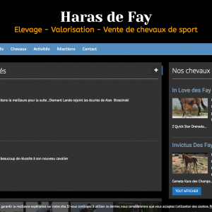 site-cheval-haras-de-fay-elevage-valorisation-vente-de-chevaux-de-sport_-www-harasdefay-fr