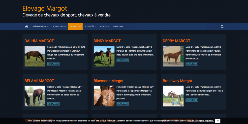 site-equia-chevaux-page-1-elevage-margot-elevage-de-chevaux-de-sport-chev_-www-elevagemargot-com