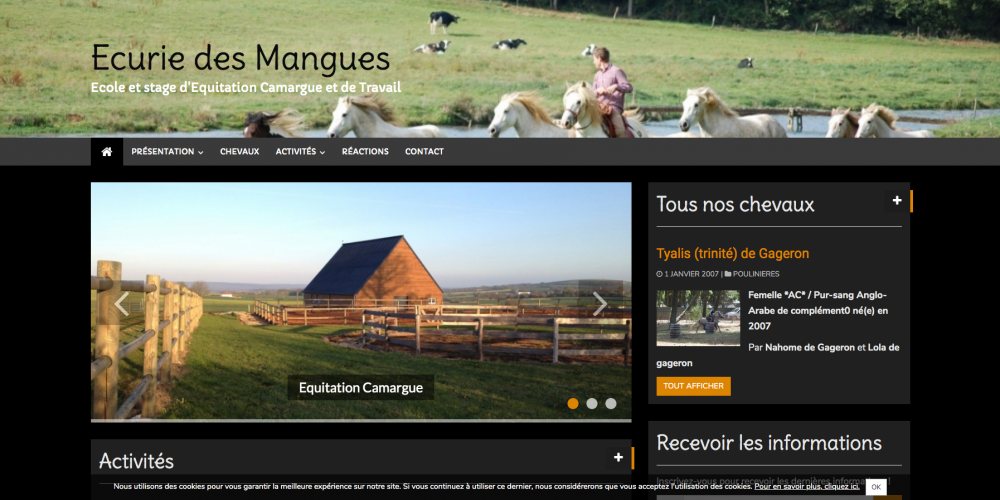 site-web-equia-ecurie-des-mangues-ecole-et-stage-dequitation-camargue-et-de-trava_-www-stage-equitation-travail-com